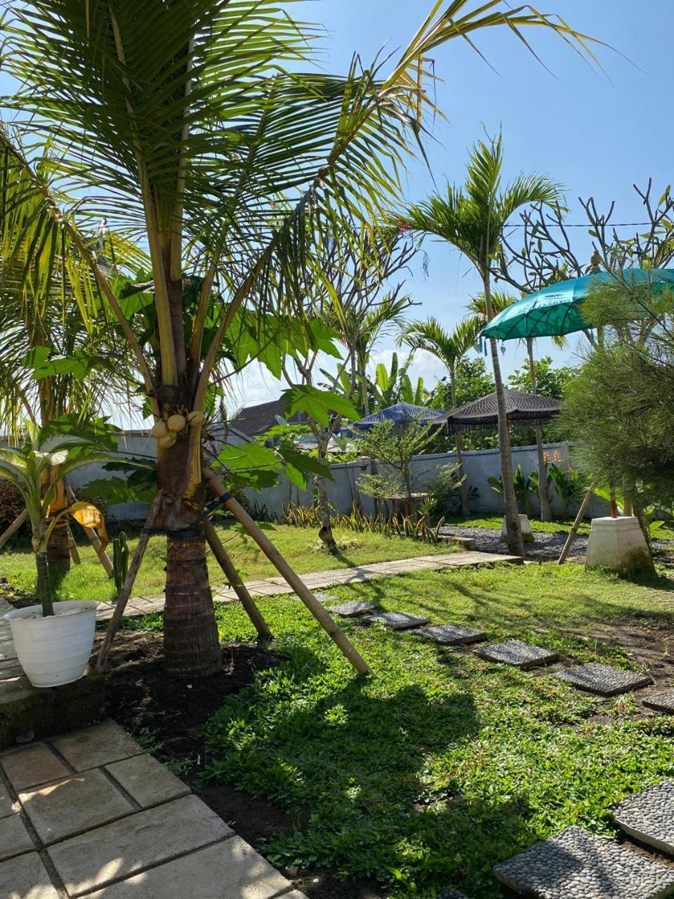Sumbul View Surfcamp Hotel Airsatang Kültér fotó